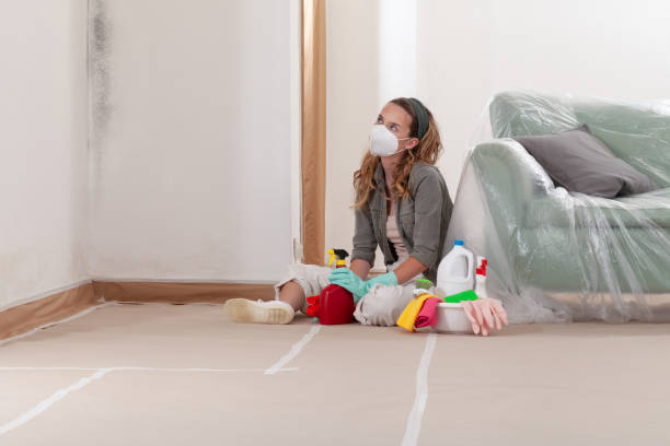 Reliable Crawl Space Mold Removal contractor in Westchester, IL by WQB Mold Removal